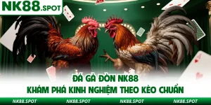 Đá gà đòn